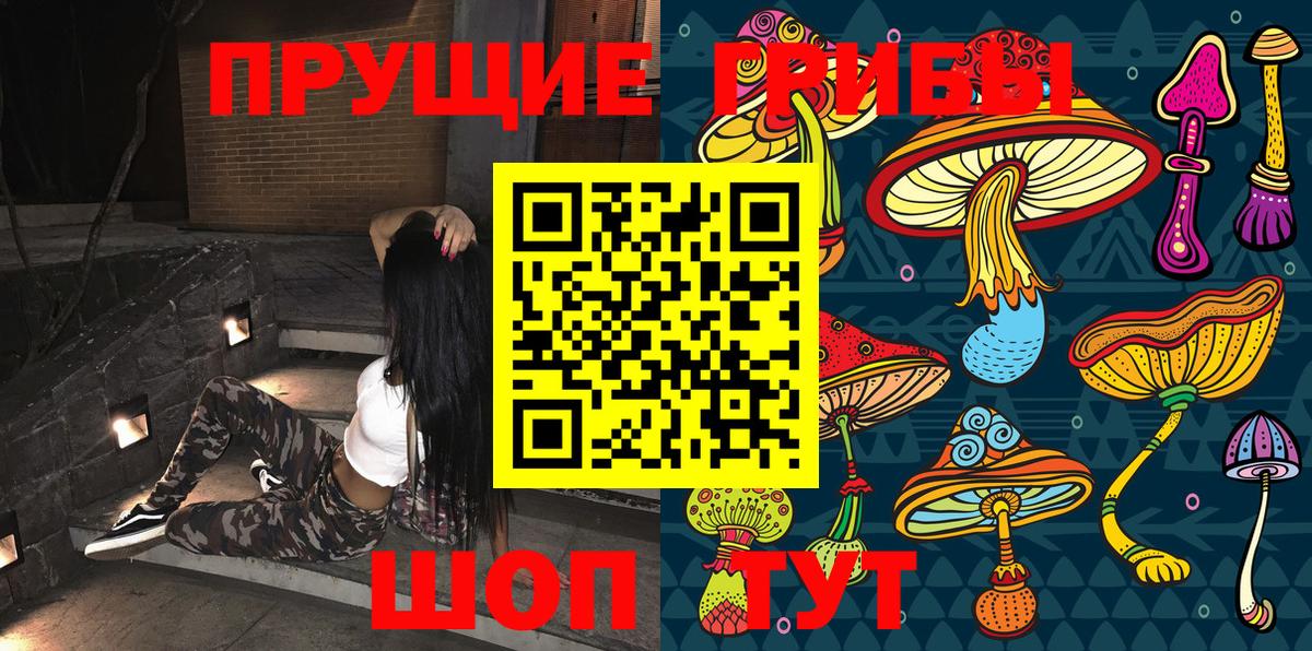 Будённовск  Псилоцибиновые грибы прущие грибы  Галлюциногенные грибы GOLDEN TEACHER  Вход с VPN 