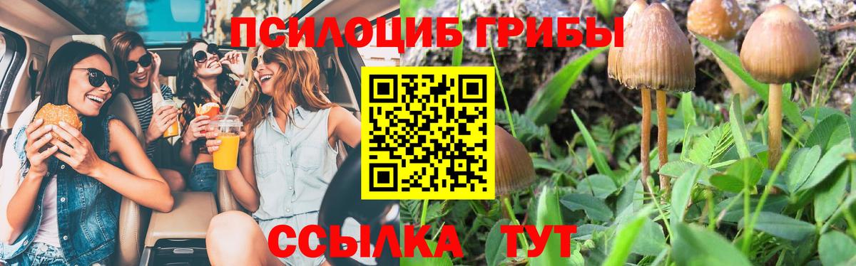 Псилоцибиновые грибы ЛСД Будённовск